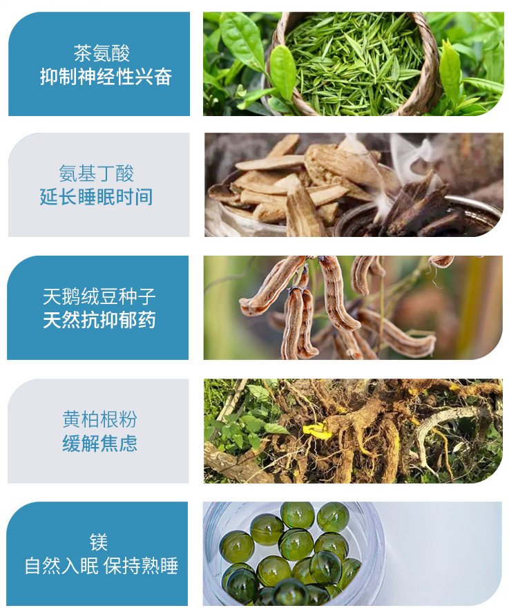 手机首页_05.jpg